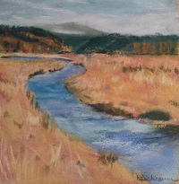 Donna Schreiner